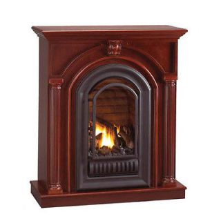 ventless gas fireplace inserts in Fireplaces & Stoves