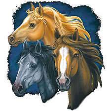 HORSE HEADS GIFT T SHIRT SPORTS HORSES HOBBIES LD