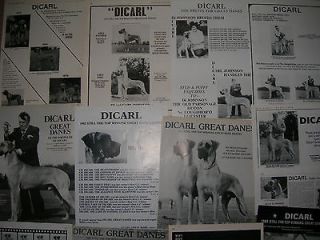 Dicarl Great Dane kennel breed clippings