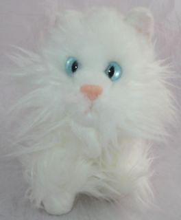 Aurora Plush White CAT Blue Eyes Persian Himalayan 5