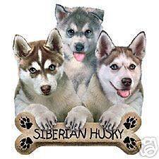 Puppies & Bisquit Siberian Husky Hood Sweatshirt