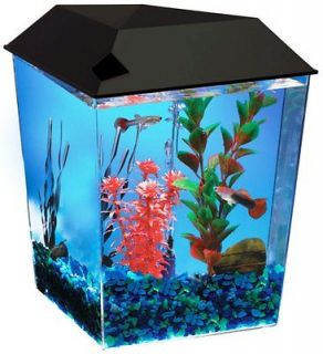 Aquarius1 1 Gallon Tank Aquarium Starter System Fish Pet Supply Fresh 
