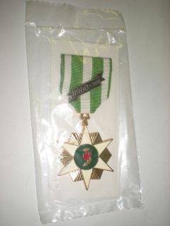 US VIETNAM CAMPAIGN MEDAL WITH BAR   FULL SIZE ON CARD