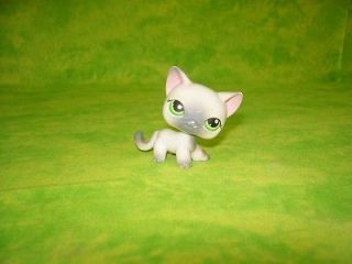 LITTLEST PET SHOP #125 Siamese Kitty Cat  Grey w Green 