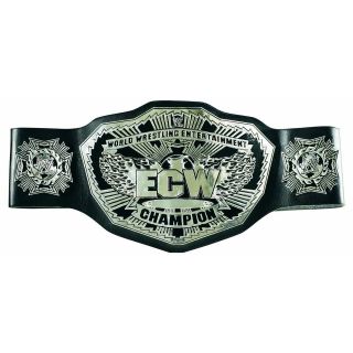   ecw championship champion belt wwe wrestling action john cena cm punk