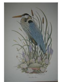 Great Blue Heron Ltd Ed Print by James R. Darnell 1989