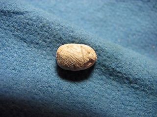 Canaanite Late BRONZE AGE / Early Iron Age. SEAL / Authentic SCARAB 