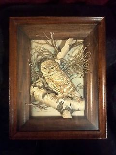 Art By Basil Ede Beautiful Shadow Box Depicting A Spotted Owl On A 