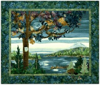   Ryan Quilt Pattern Lake Forest Double Trouble Racoon Lake Quilting