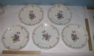 PLATES with VIOLET Patterns   LIMOGES CHINA   HEAVY wear / Crazing 