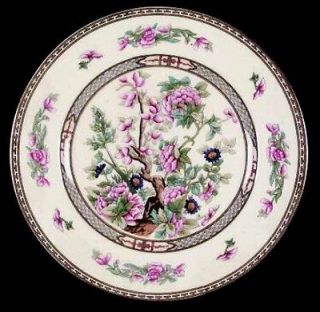   INDIAN TREE 10 Dinner Plate EUC England Vintage Pink & Blue Flowers