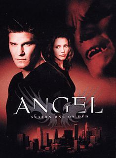 Angel   Season 1 DVD, 2003, 6 Disc Set