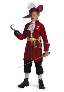 Boys Child Walt Disney Classics Peter Pan Captain Hook Pirate Costume
