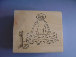PURRS & PANTS RUBBER STAMPS DOG IN A SWIM POOL STAMP