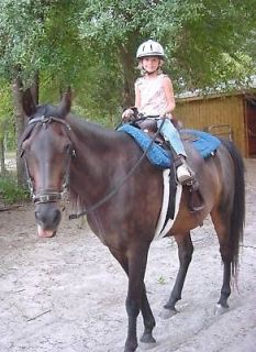 Kids/Child/You​th Little Buddy Stirrups Weste​rn Saddle