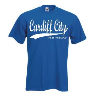 Cardiff City (football,soccer) (shirt,jersey)