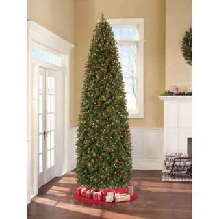 12 Ft Tall Pine Christmas Tree Pre Lit Artificial 1,200 Clear Lights 