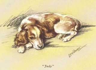 Welsh Springer Spaniel Puppy   Dog Print   Lucy Dawson