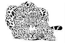 leopard stencil in Art Supplies