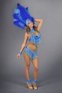 las vegas showgirl costume in Costumes