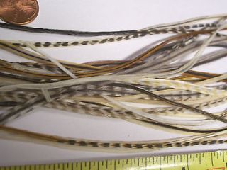 15 NAT 8 11 LONG MIX WHITING GRIZZLY SADDLE FEATHER HAIR EXTENSIONS 