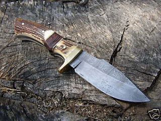 Damascus Knife with Stag Handle & Leather Sheath (22)
