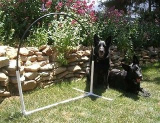 Dog Agility Equipment NADAC Hoopers Arched Hoop