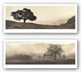 PHOTO ART SET Meadow & Black Oak Tree by Alan Blaustein