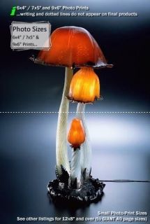  7x5, 9x6 in. Reproduction Inky Cap Lamp Emile Galle Other Sizes Avail