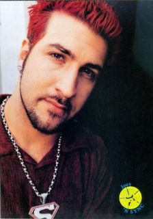 JOEY FATONE   N SYNC   PINK   ALECIA MOORE PINUP POSTER