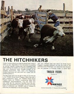   Corp Trisco Feeds The Hitchhikers Cattle Feed Ad Pipestone Minnesota