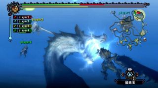 Monster Hunter 3  Computer and Video Games