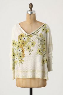 Pointelle Posy Pullover   Anthropologie