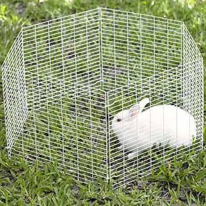 All Living Things® Small Animal Playpens   Harnesses and Accessories 