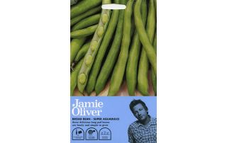 Jamie Oliver Bean Broad Super Aguadulce Seeds from Homebase.co.uk 