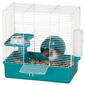 Grreat Choice™ Pet Home for Hamsters   Cages, Habitats & Hutches 