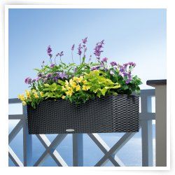 Rectangle Lechuza Balconera Cottage Self Watering Resin Planter with 
