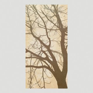 Tree Silhouette Canvas Wall Art Decal  World Market