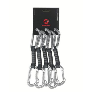 Mammut Element Key Lock Express Quickdraw 5 Pack    at 