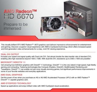 Buy the XFX Radeon HD 6670 1GB GDDR5 Video Card .ca