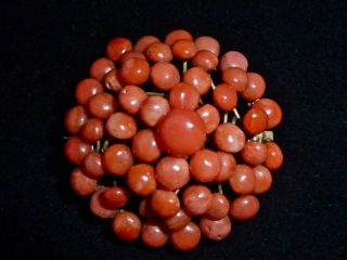   Victorian Hand Carved & Wired Natural Coral Gold F Domed Brooch Pin