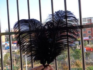 Fine 5 PCS pretty Black Ostrich Feathers 28 33cm/11 13
