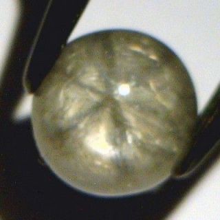 Gray Trapiche Star Sapphire Unheated Gemstone 8.5mm Round Cabochon 4 