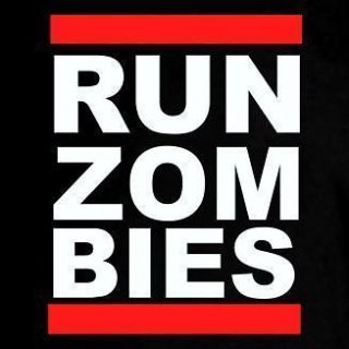 RUN ZOMBIES DMC Spoof Funny Humor Tshirt All Sizes and Colors