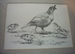 Wildlife, Western, QUAIL Pen & Ink SIGNED & NUMBERED ART Larry Simons 