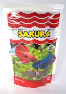 sakura feed for live betta siamese fighting fish from thailand