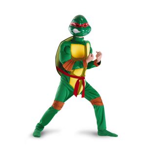 Child TV Show TMNT Teenage Mutant Ninja Turtles Leo Raph Classic 