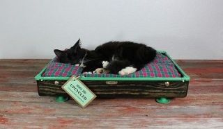   Cat or Small Dog Vintage Suitcase Bed with Tammis Keefe cat fabric