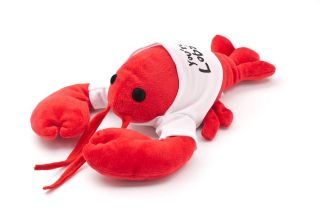 YOU ARE MY LOBSTER CUTE LOBSTER PLUSH ANIMAL  AS IN THE FRIENDS TV 