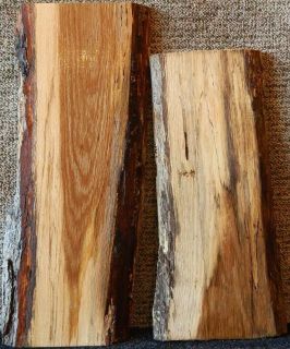 White Oak Live Edge Lumber Slabs Lot of 2 Taxidermy Mount Boards 5106 